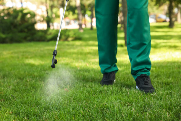 Best Pest Prevention Services  in Pana, IL