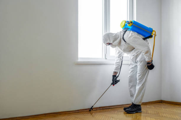 Best Affordable Pest Control Services  in Pana, IL