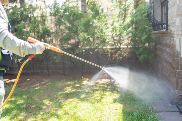 Best Best Pest Control Companies  in Pana, IL
