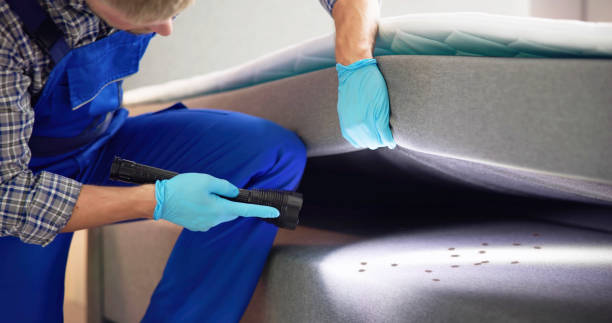 Best Rat Extermination Near Me  in Pana, IL