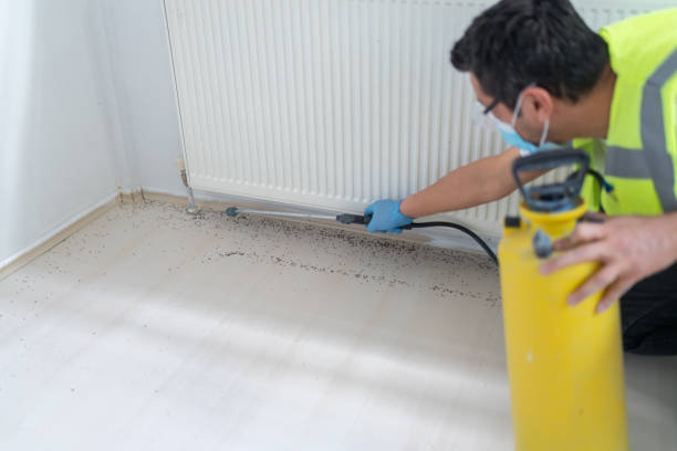Best Exterminator Services  in Pana, IL