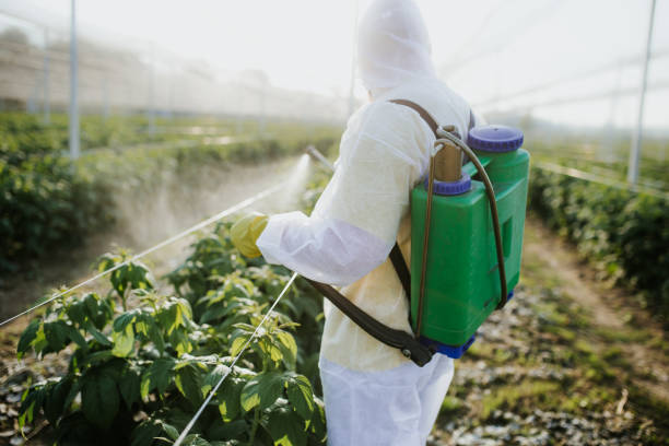 Best Pest Control for Businesses  in Pana, IL